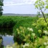 Tour 6: Naturpark Usedom